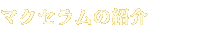 マクセラムの紹介